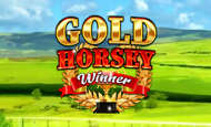 Gold Horsey Winner