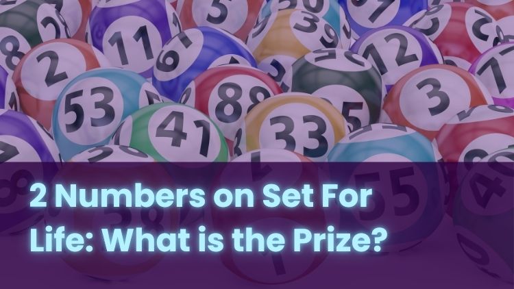 2 Numbers on Set For Life: What is the Prize?