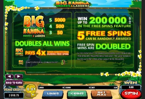 Big Kahuna Snakes & Ladders Slot Features