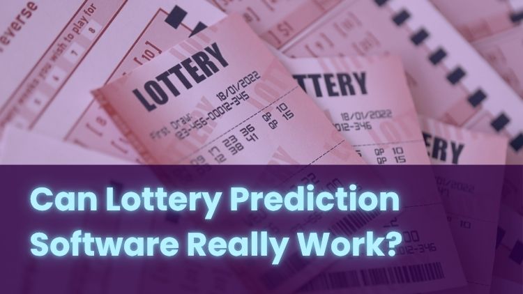 Can Lottery Prediction Software Really Work?