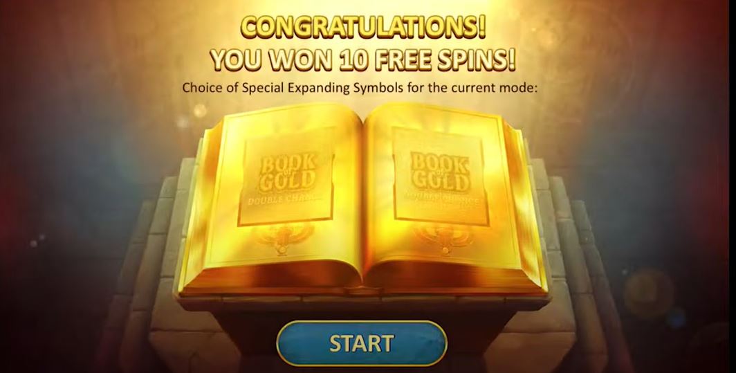 Book of Gold Double Chance Slot Bonus